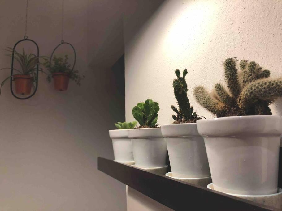 Apartaestudio#8 Aire Acondicionado Laborcillas 외부 사진